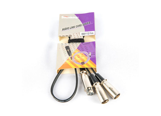 Cable Soundking BB112